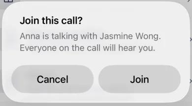 Join this call? Anna is talking with Jasmine Wong. Everyone on the call will hear you.