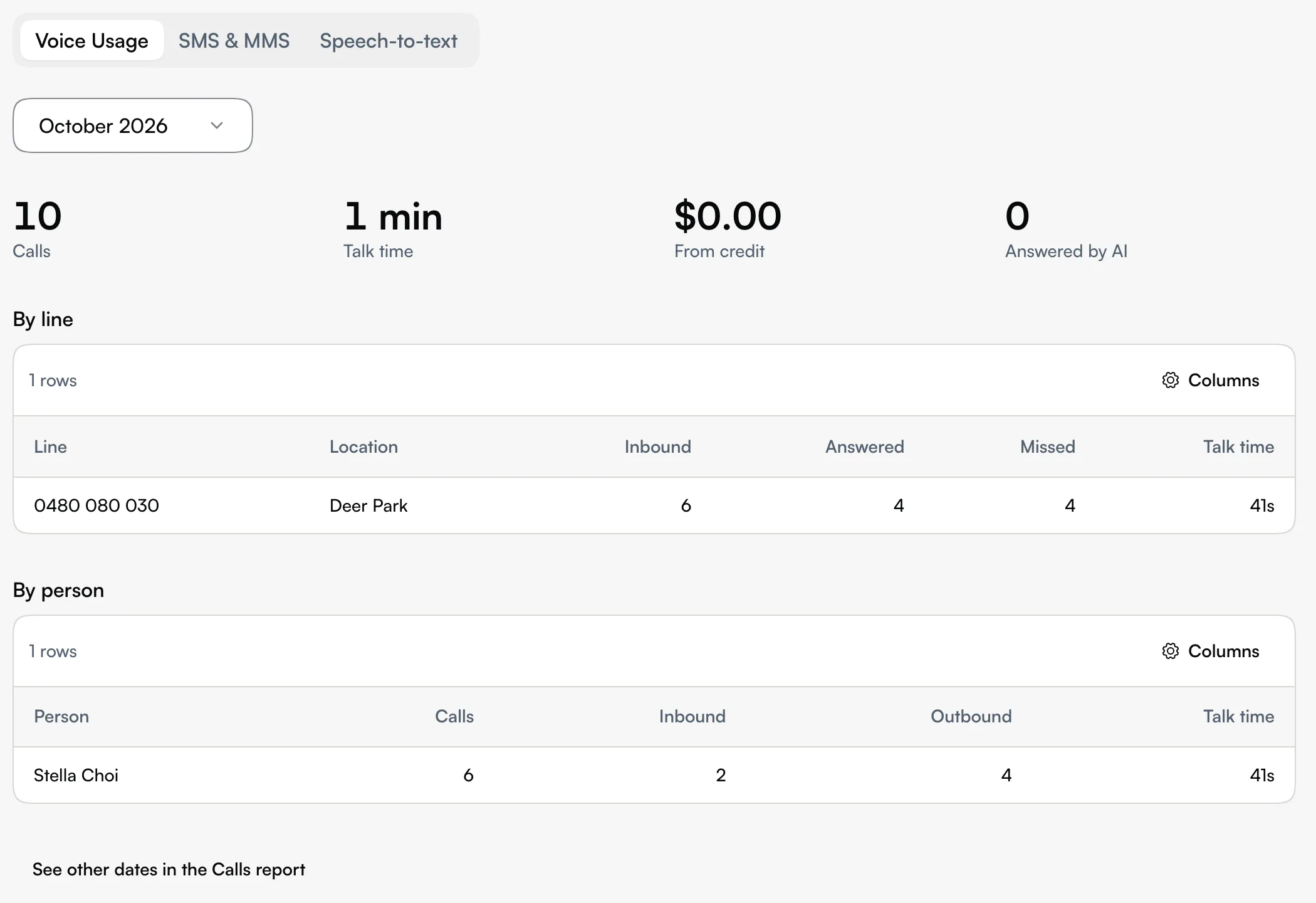 The Voice Usage tab with the month picker, Calls, Talk time, From credit and Answered by AI, and the By line and By person tables